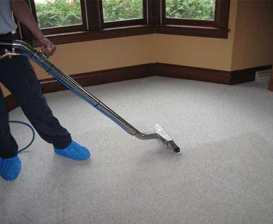reliable carpet cleaning service in dickson